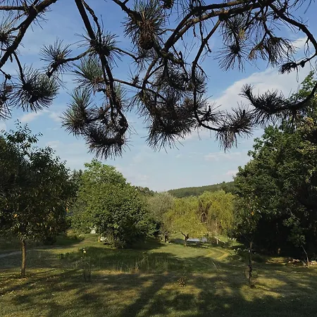 Holiday home 4borovice Velka Lecice