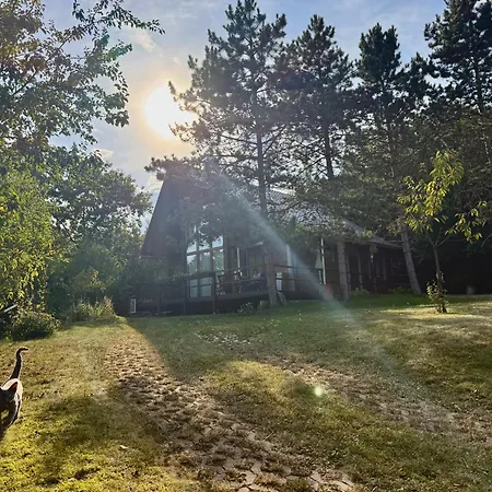 4borovice Velka Lecice