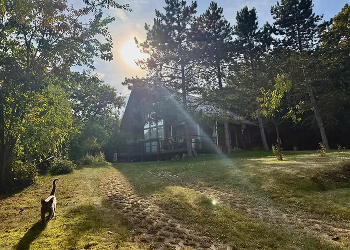 4borovice Velka Lecice